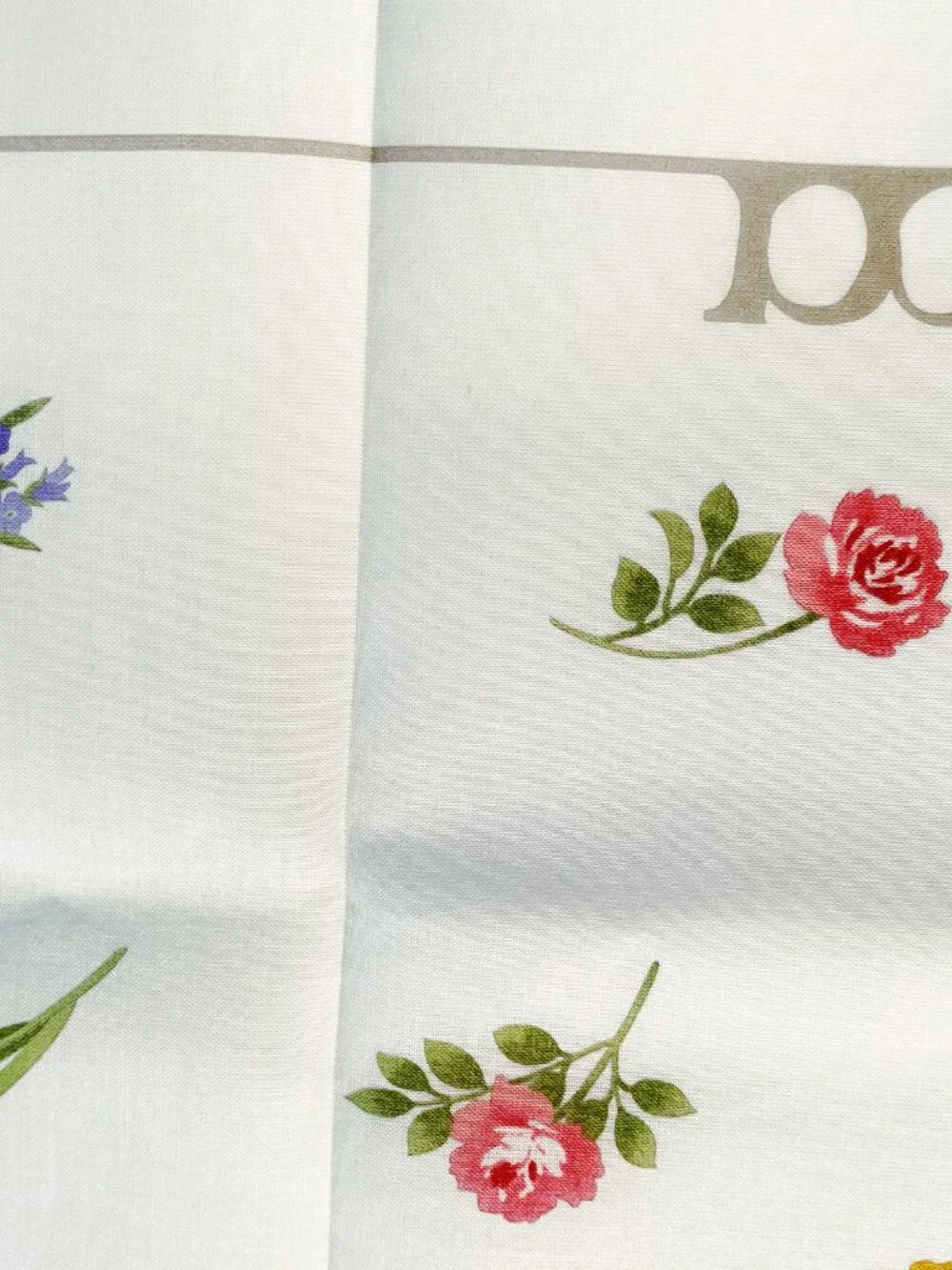 Nina Ricci Cotton Scarf